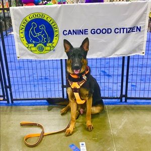 Meet your Posher, Tanya